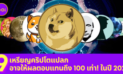 Ploy Template The Joi FBWebsite 5