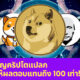 Ploy Template The Joi FBWebsite 5