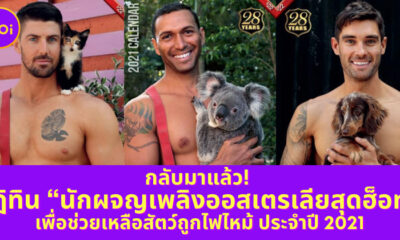 Ploy Template The Joi FBWebsite 8