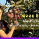 BLOG 13AUG2021 3 1