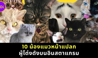 BLOG 13AUG2021 9 1