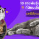 Copy of Copy of Copy of Naomi Template The Joi FBWebsite 15 1