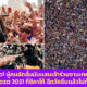Copy of Copy of Copy of Naomi Template The Joi FBWebsite 4