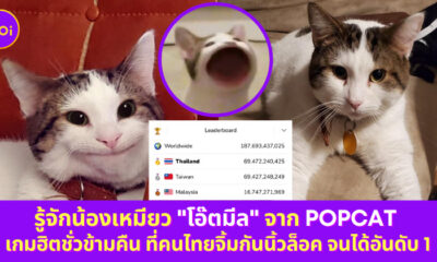 Copy of Copy of Copy of Naomi Template The Joi FBWebsite 5 1