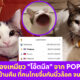 Copy of Copy of Copy of Naomi Template The Joi FBWebsite 5 1
