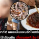 หมอแล็บแพนด้า