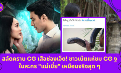 แม่เบี้ย