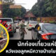 หมีควายป่า