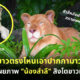สวนสัตว์เปิดเขาเขียว