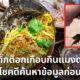 หนุ่มติ๊กต็อกหวิดดับเพราะกินแมงดาพิษ