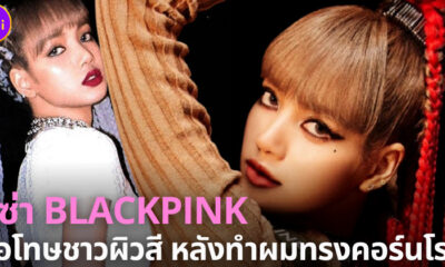 ลิซ่าขอโทษ