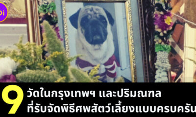หมางานศพ