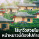 10 ไร่ชาวิวสวยในเมืองไทยหน้าหนาวนี้ต้องไปถ่ายรูปให้ได้