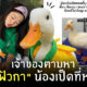 Fleem Template The Joi FBWebsite 2 3