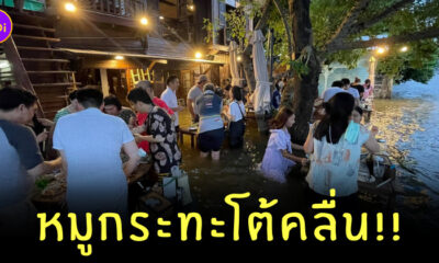 หมูกระทะโต้คลื่น
