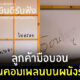 โอเรนจิ สะพานควาย