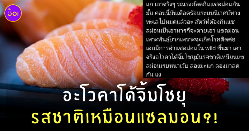 ลดกินแซลมอน