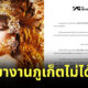 Fleem Template The Joi FBWebsite 8 3
