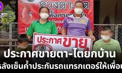 ประกาศขายตาไตยกบ้าน