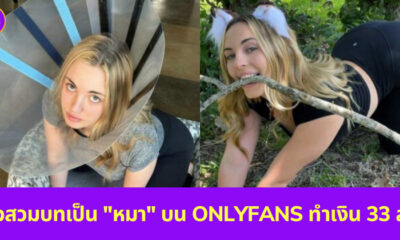 สาวเป็นหมา