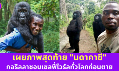 เผยภาพสุดท้ายของนดาคาซีก่อนตาย