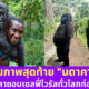 เผยภาพสุดท้ายของนดาคาซีก่อนตาย