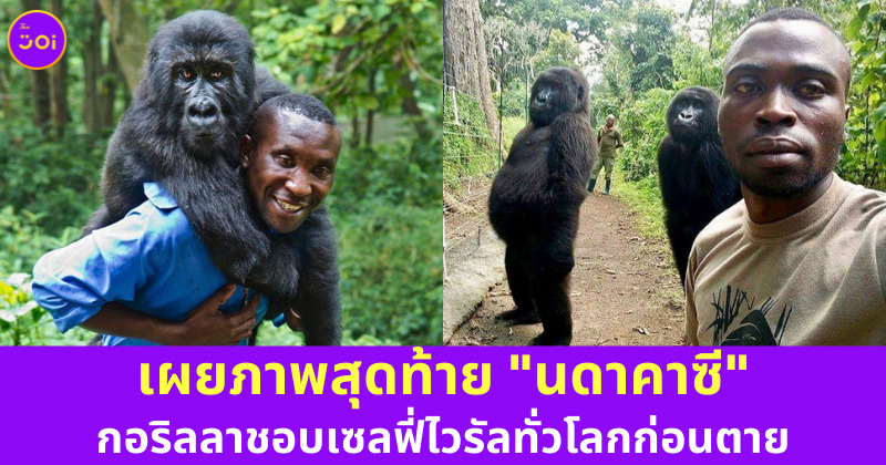 เผยภาพสุดท้ายของนดาคาซีก่อนตาย