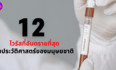 12 ไวรัสที่อันตรายที่สุดในประวัติศาสตร์ของมนุษยชาติ