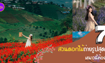 Copy of Copy of Copy of Naomi Template The Joi FBWebsite 72