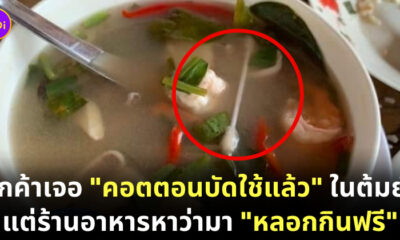 เจอคอตตอนบัตในอาหาร