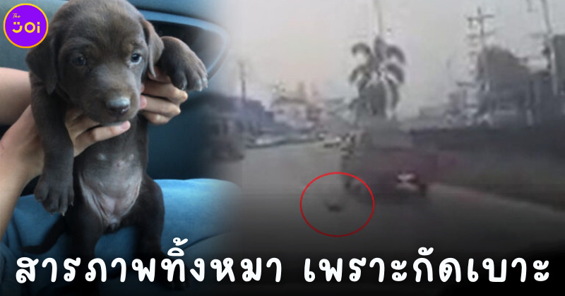 คนขับกระบะโยนหมาทิ้งเพราะกัดเบาะ
