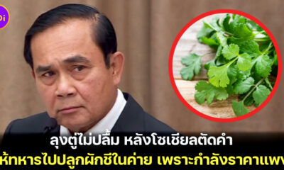 ประยุทธ จันทร์โอชาไม่ถูกใจสิ่งนี้ โซเชียลตัดคำ ให้ทหารไปปลูกผักชีในค่าย