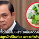 ประยุทธ จันทร์โอชาไม่ถูกใจสิ่งนี้ โซเชียลตัดคำ ให้ทหารไปปลูกผักชีในค่าย