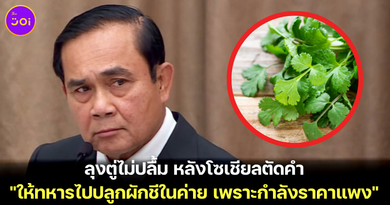 ประยุทธ จันทร์โอชาไม่ถูกใจสิ่งนี้ โซเชียลตัดคำ ให้ทหารไปปลูกผักชีในค่าย