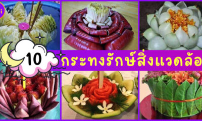 เป็นคนรุ่นใหม่! ต้องลอย 10 กระทงรักษ์สิ่งแวดล้อม