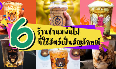 6 ร้านชานมไข่มุกพ่นไฟที่ใช้สัตว์เป็นสัญลักษณ์