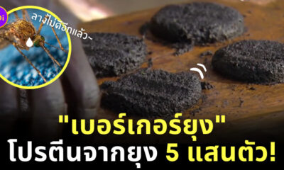 เบอร์เกอร์ยุง