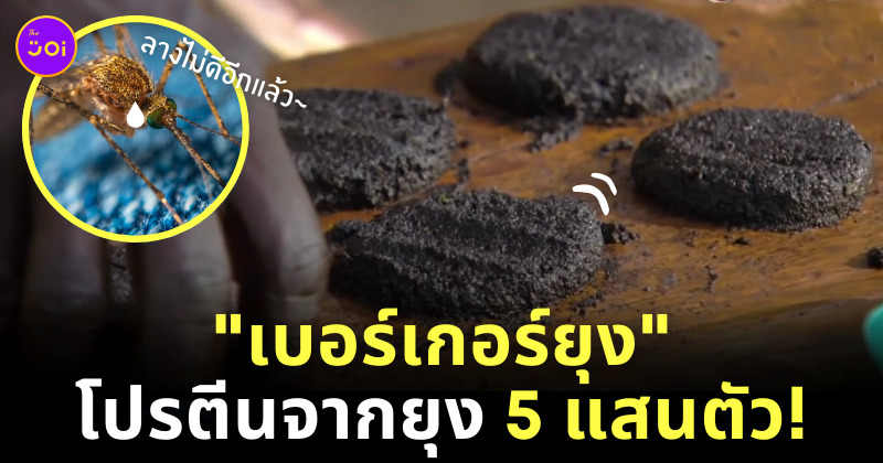 เบอร์เกอร์ยุง