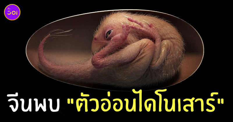 ฟอสซิลตัวอ่อนไดโนเสาร์