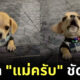 Naomis Blog Template The Joi FBWebsite 8