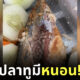 Naomis Blog Template The Joi FBWebsite 9