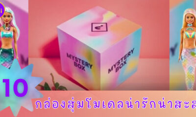 ชี้เป้า 10 กล่องสุ่มโมเดลน่ารักที่น่าสะสม เปิดได้ซ้ำก็ไม่ผิดหวัง