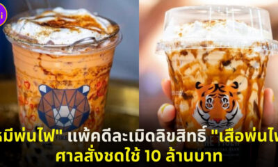 หมีพ่นไฟ แพ่คดีละเมิดลิขสิทธิ์ เสือพ่นไฟ ศาลสั่งชดใช้ 10 ล้านบาท