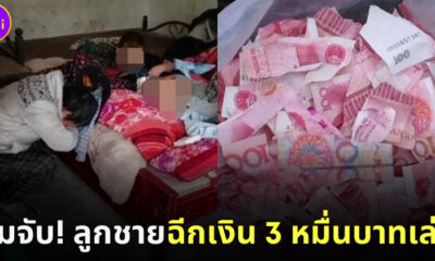 แม่ช็อกลูกฉีกเงิน 3 หมื่นที่ขายวัวได้ทิ้งเล่นเหลือแต่ซาก 1
