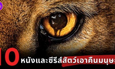 10 หนังและซีรีส์สัตว์เอาคืนมนุษย์