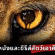 10 หนังและซีรีส์สัตว์เอาคืนมนุษย์