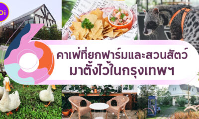 6 คาเฟ่ที่ยกฟาร์มและสวนสัตว์มาตั้งไว้ในกรุงเทพ
