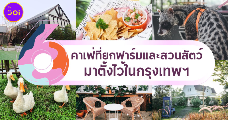 6 คาเฟ่ที่ยกฟาร์มและสวนสัตว์มาตั้งไว้ในกรุงเทพ