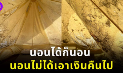 สาวเที่ยวน่านสยอง เจอเต็นท์ขึ้นราทั้งหลัง