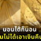 สาวเที่ยวน่านสยอง เจอเต็นท์ขึ้นราทั้งหลัง